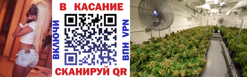 Псилоцибиновые грибы Лобня