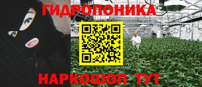 дживик Тверь