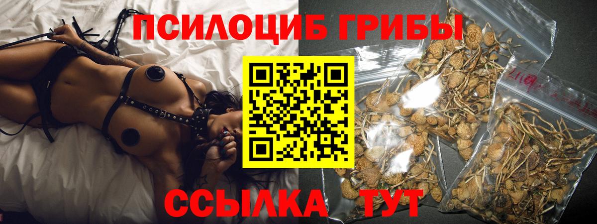 NBOMe  Лобня  Вход с VPN  ГАШ  АМФЕТАМИН   Каннабис  Cocaine  Меф МЯУ МЯУ   ЭКСТАЗИ 