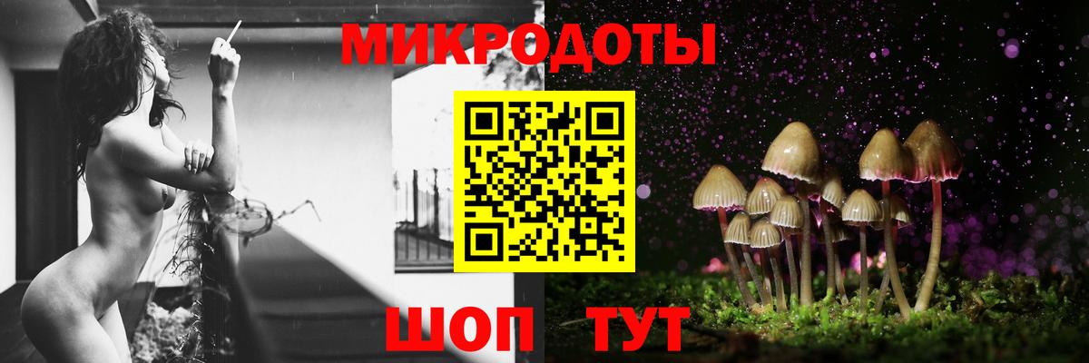 Псилоцибиновые грибы мицелий Лобня