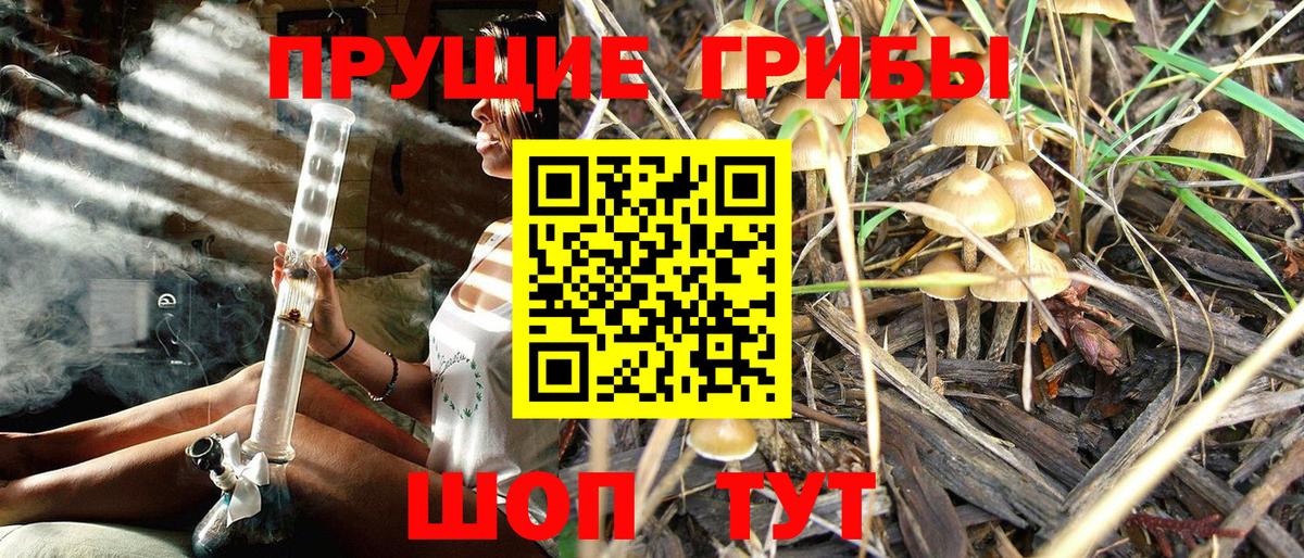 Псилоцибиновые грибы мухоморы  Галлюциногенные грибы MAGIC MUSHROOMS  Вход с VPN  Лобня 